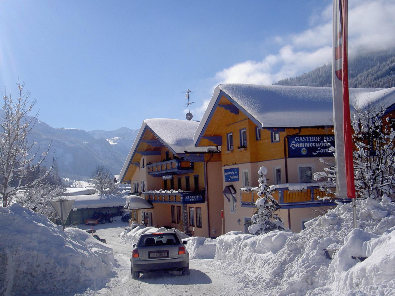 Hotel Hammerwirt - Forellenhof Untertauern Kültér fotó