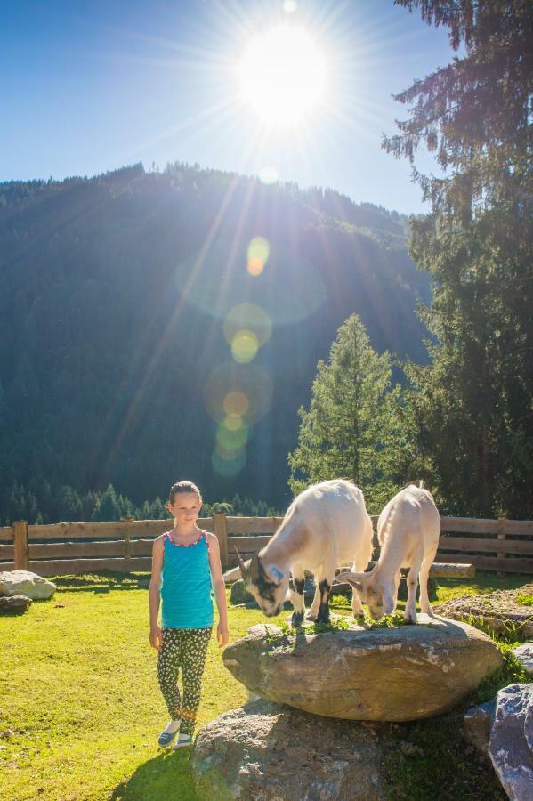 Hotel Hammerwirt - Forellenhof Untertauern Kültér fotó